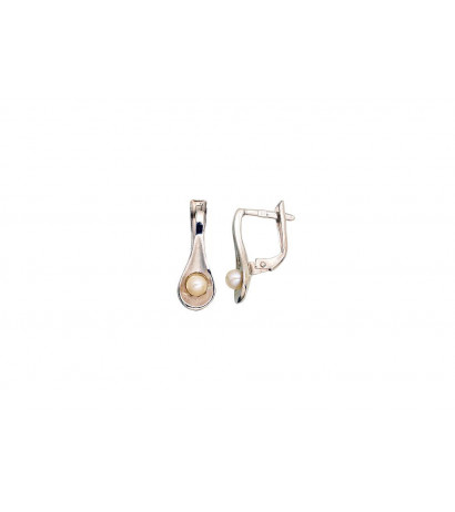 Silver earrings with...