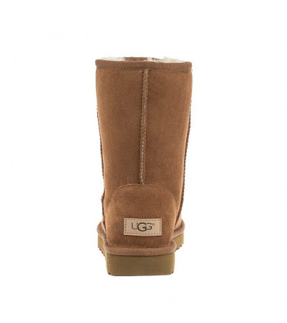 UGG W Classic Short II 1016223 W/CHE (UA7-c) boots