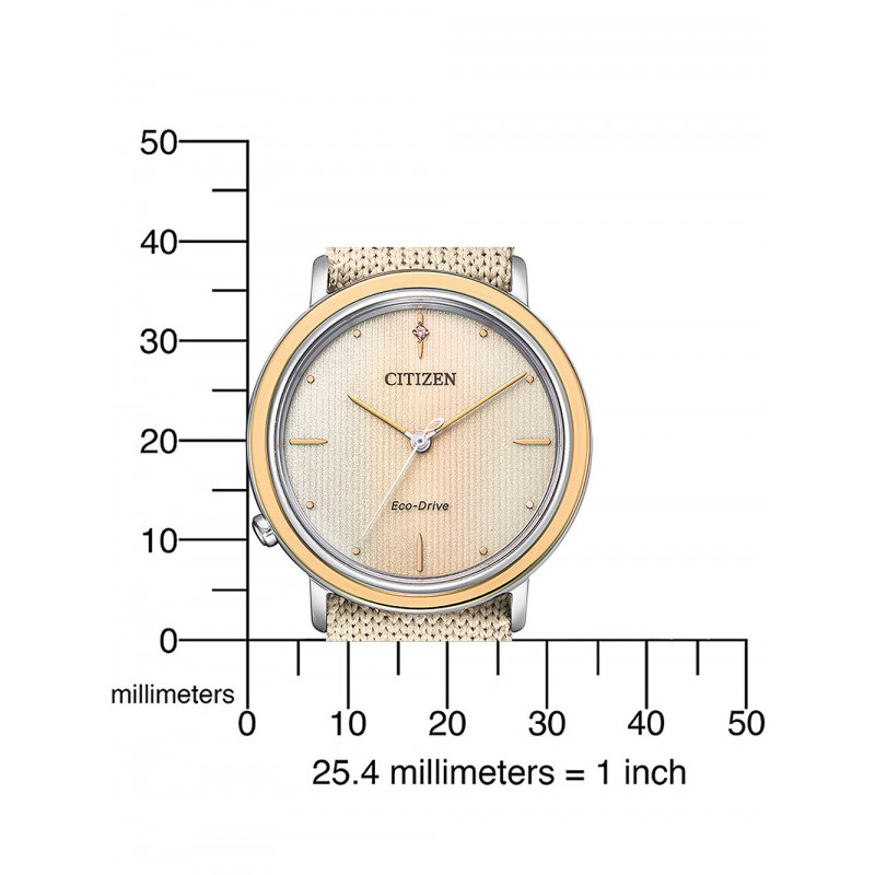 Citizen EM1006-40A 