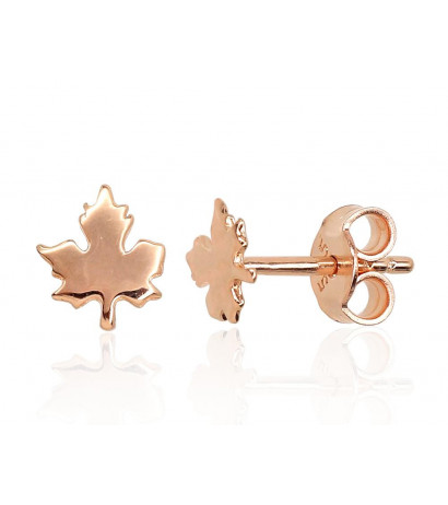 Gold classic studs earrings...