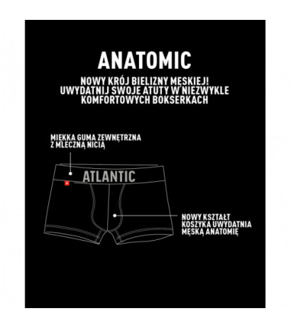 Atlantic panties