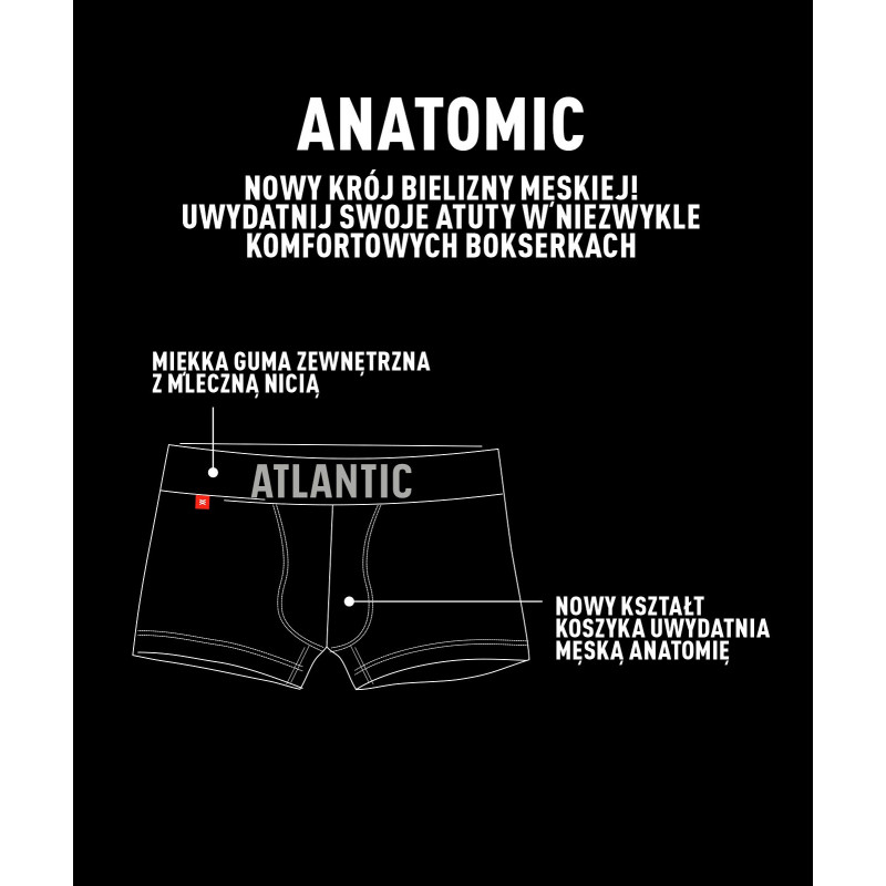 Atlantic panties