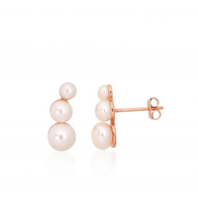 Gold classic studs earrings...