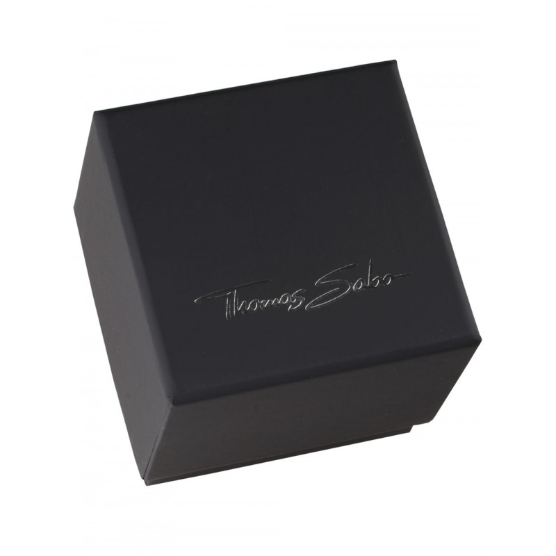 Thomas Sabo WA0301-201-209 