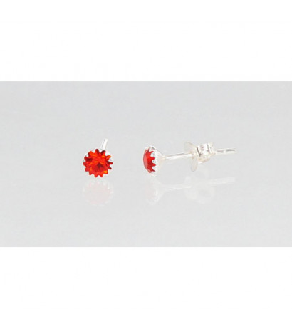 Silver stud earrings...