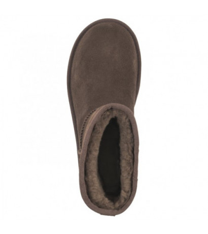 UGG W Classic Mini Platform 1134991 BCDR (UA73-c) shoes