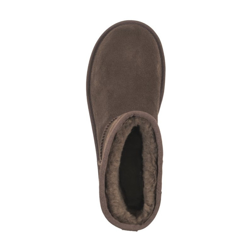 UGG W Classic Mini Platform 1134991 BCDR (UA73-c) shoes