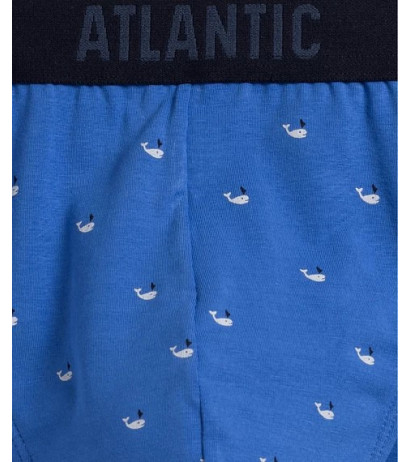 Atlantic panties