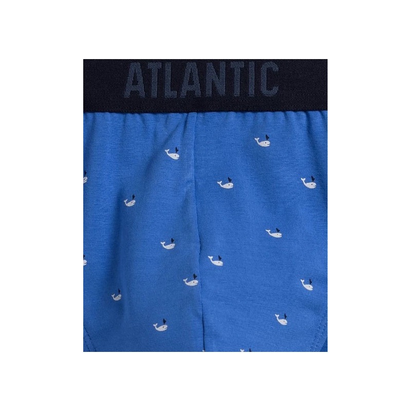 Atlantic panties