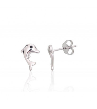 Silver stud earrings...