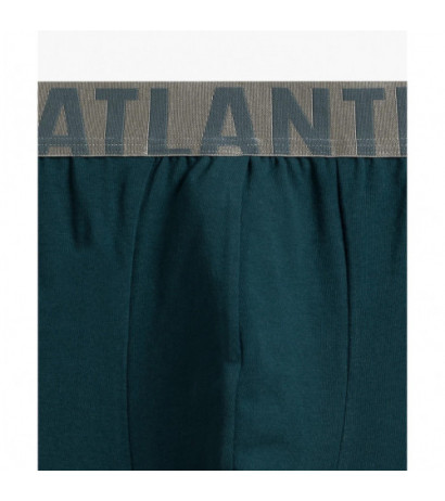 Atlantic panties