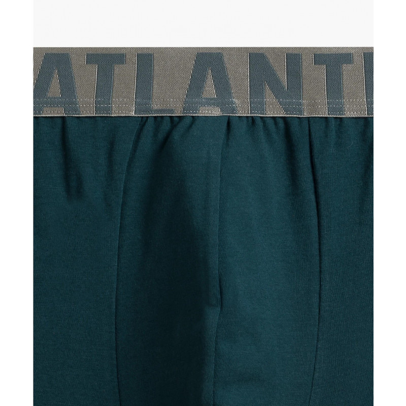 Atlantic panties