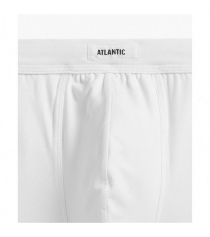 Atlantic panties