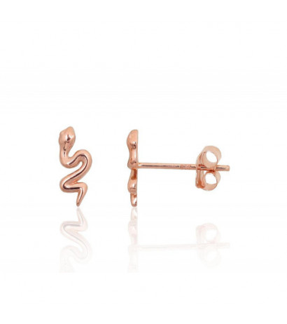 Gold classic studs earrings...