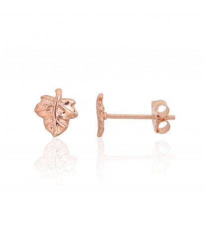 Gold classic studs earrings...