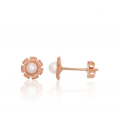 Gold classic studs earrings...