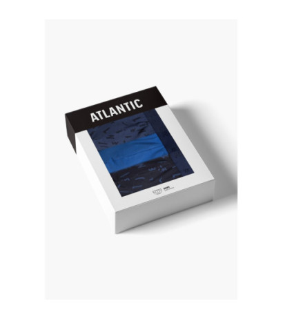 Atlantic panties