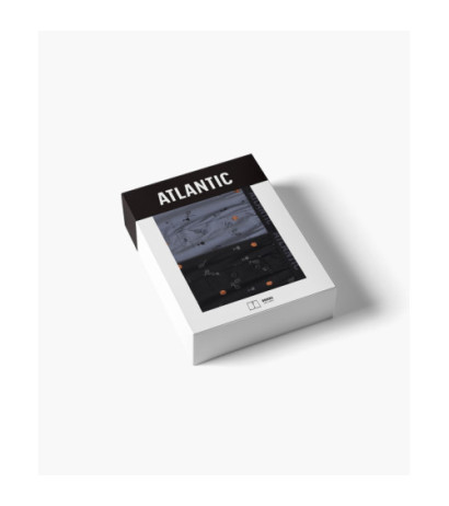 Atlantic panties