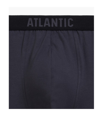 Atlantic panties