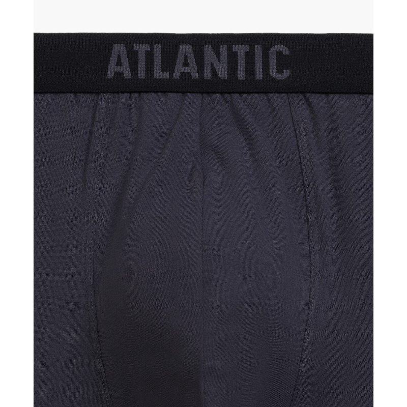 Atlantic panties