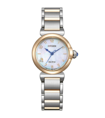 Citizen EM1136-87D 