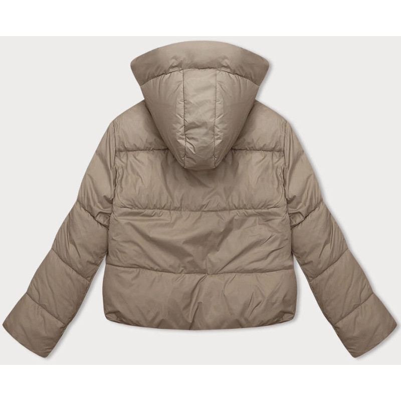 WINTER JACKET WITH MEMBRANE MINT (W182) striukė