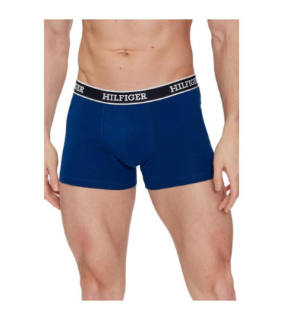 Tommy Hilfiger Underwear UM0UM03185 Blue