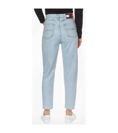 Tommy Hilfiger Jeans Jeans DW0DW12354 