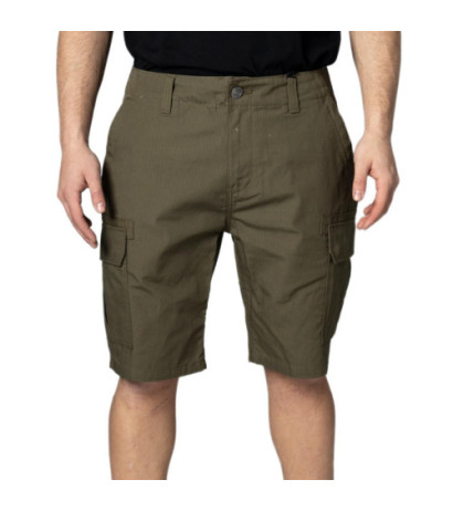 Dickies Shorts DK0A4XED Green