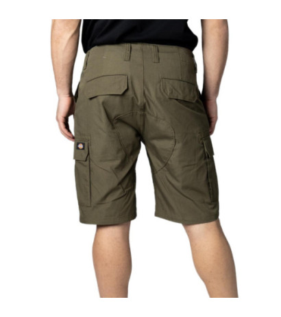 Dickies Shorts DK0A4XED Green