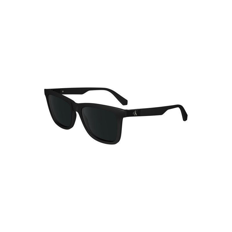 Calvin klein sunglasses CKJ24601S Black