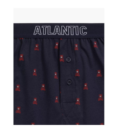 Atlantic panties