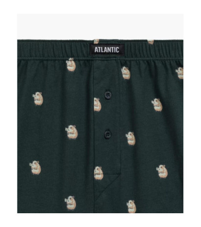 Atlantic panties