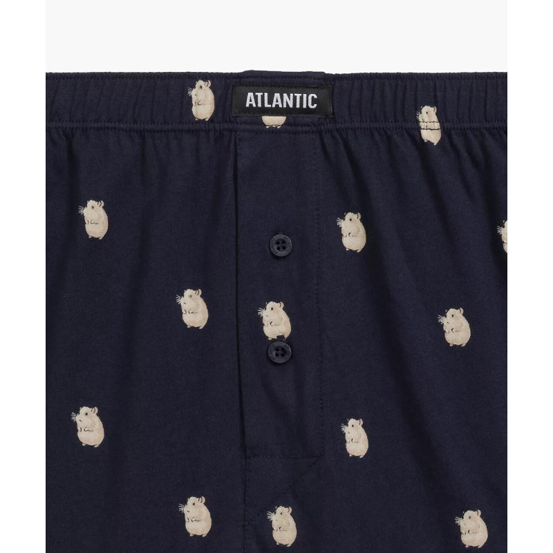 Atlantic panties