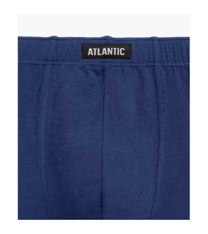 Atlantic panties