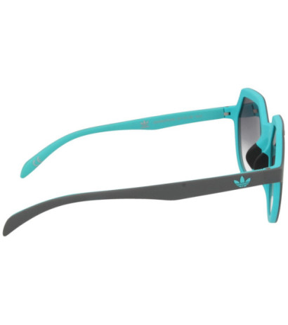 Adidas sunglasses AOR018-070036