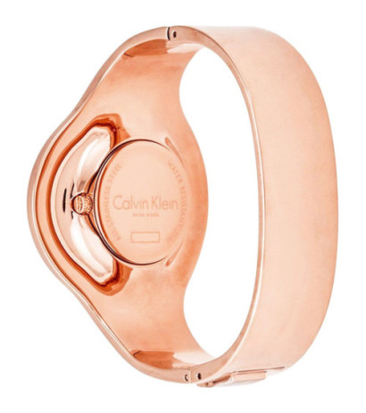 Calvin klein watch K8C2S616