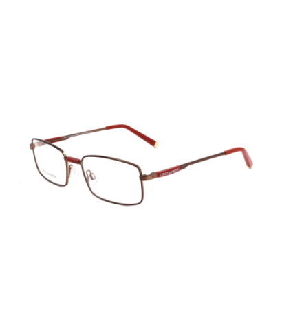 Dsquared2 glasses DQ5025-045-51