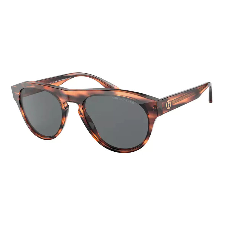 Giorgio armani sunglasses 0AR8145F5876B