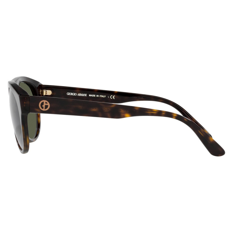 Giorgio armani sunglasses 0AR8145F58793