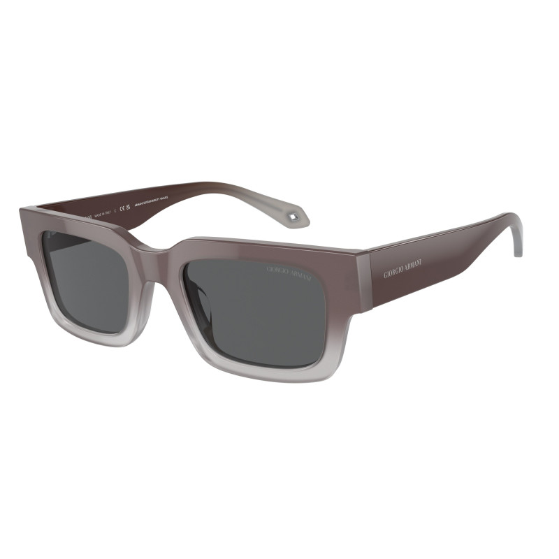 Giorgio armani sunglasses AR8184U5980B1