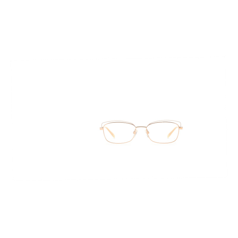 Pierre cardin glasses P.C.-8853-25A