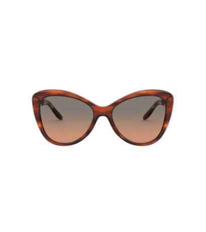 Ralph lauren sunglasses RL8184-500718