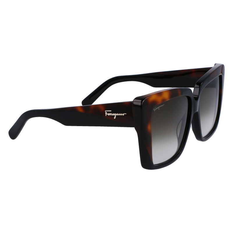 Ferragamo sunglasses SF1060S-6