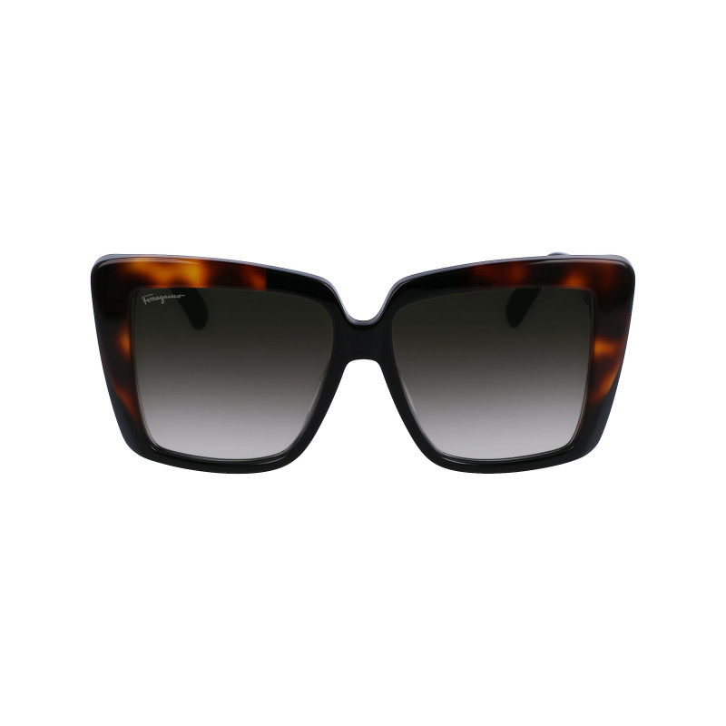 Ferragamo sunglasses SF1060S-6