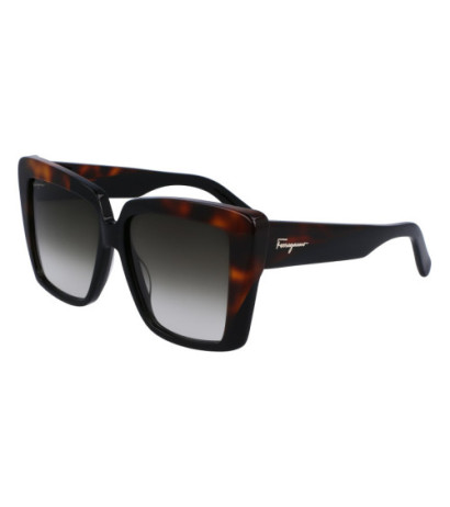 Ferragamo sunglasses SF1060S-6