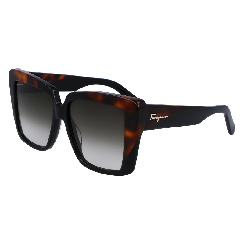 Ferragamo sunglasses SF1060S-6