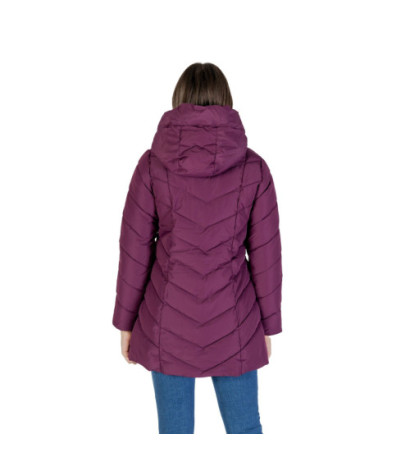 Clerè Jacket SLI4GB025134D Purple