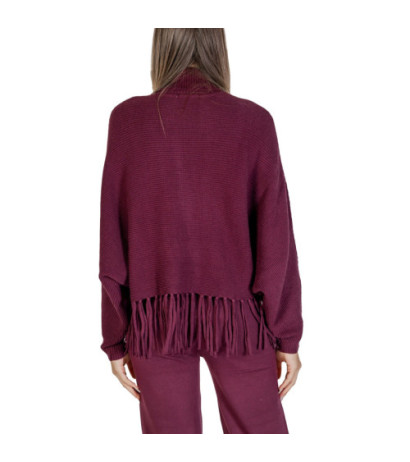 Clerè Knitwear SLI4ML008941D Purple