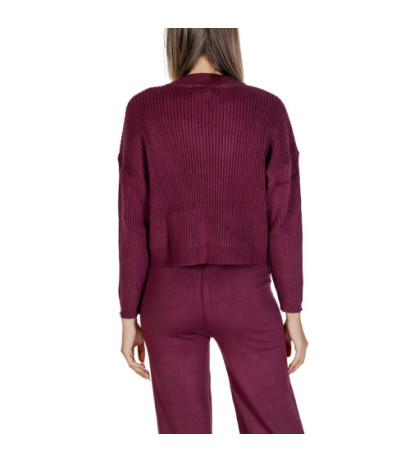 Clerè Knitwear SLI4ML008925D Purple